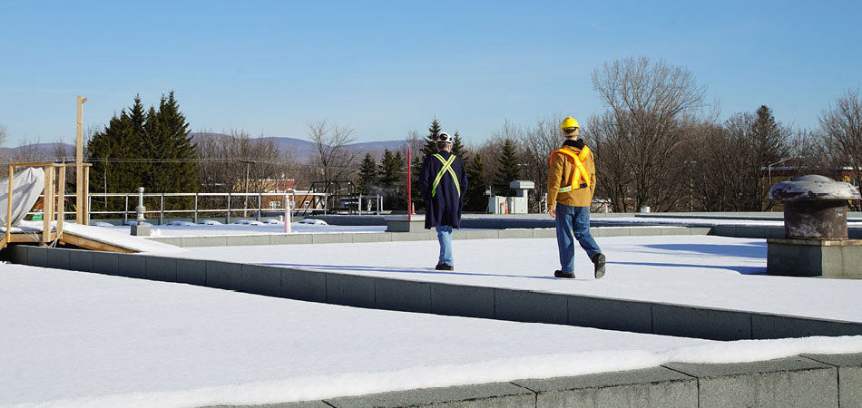 Inspection hivernale