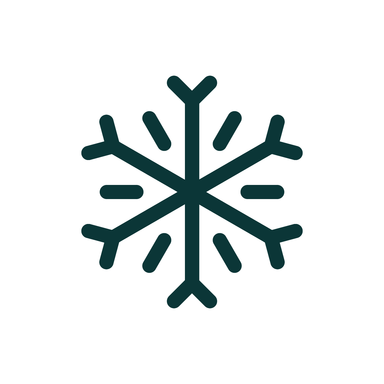 Neige